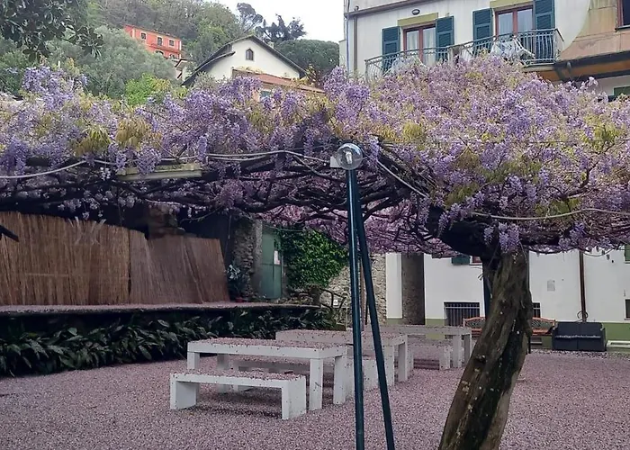 Hotel Residence Moneglia