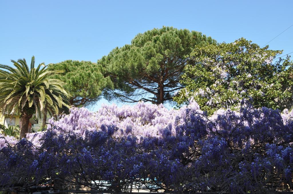 Hotel Residence Moneglia Aparthotel